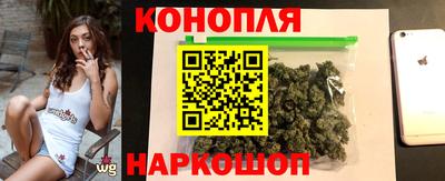 тгк Новокубанск
