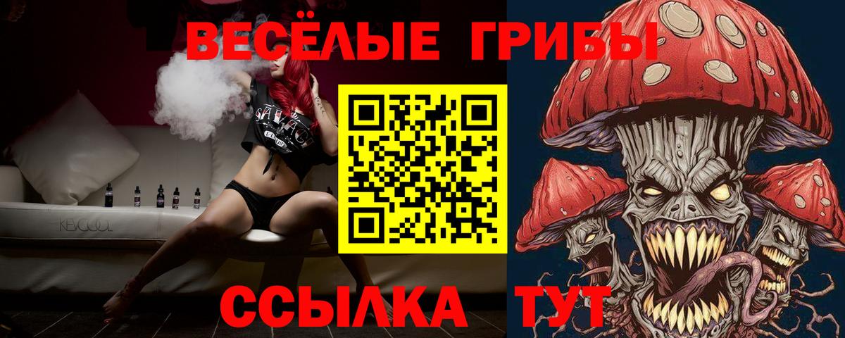 Псилоцибиновые грибы Cubensis  Галлюциногенные грибы мицелий  Реутов  Вход с VPN 